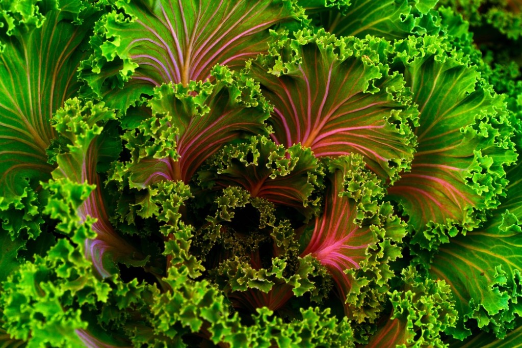 kale