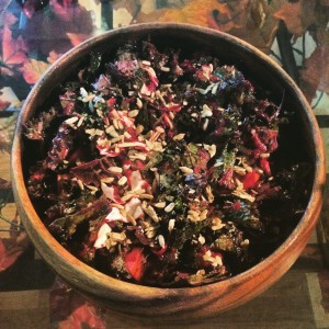 salad sunflower seed beet kale cabbage