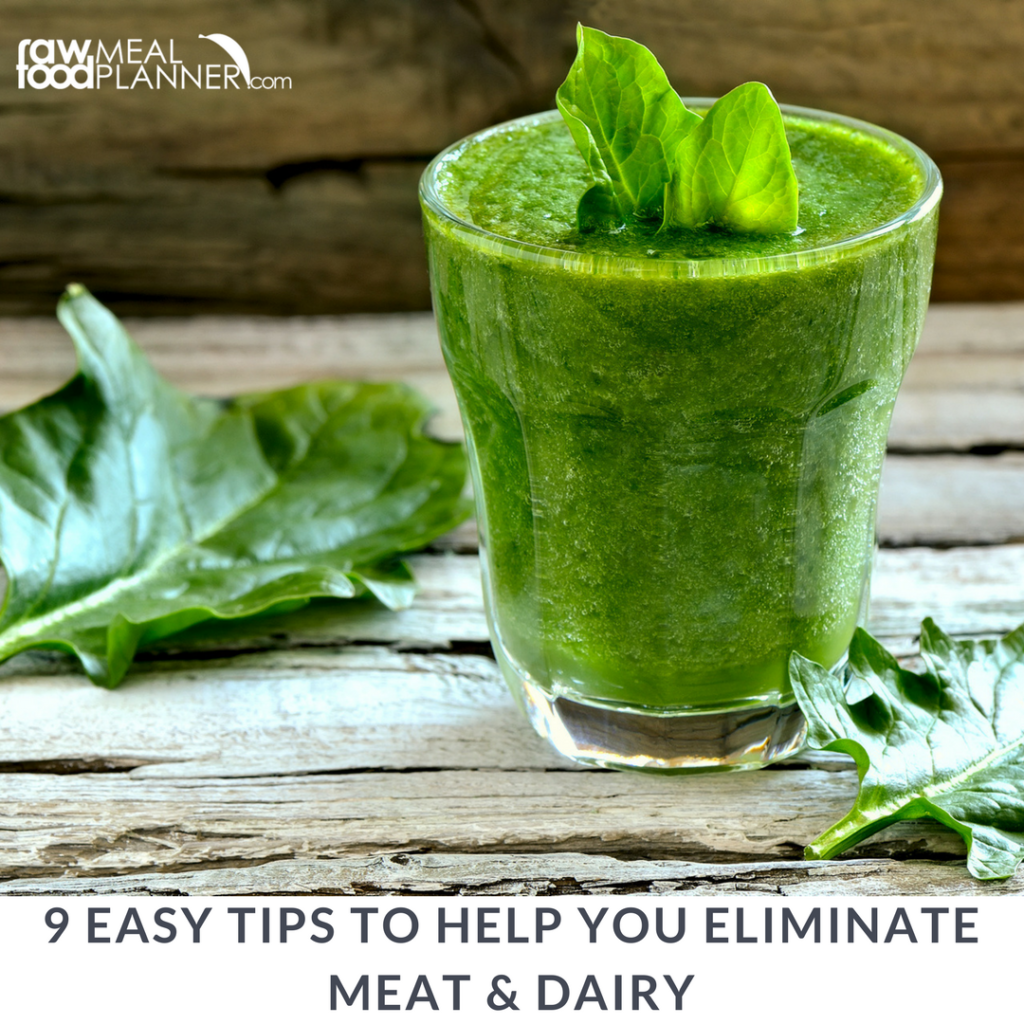 9 Easy Tips To Help You Eliminate Meat & Dairy