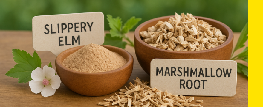 Slippery Elm & Marshmallow Root: Natural Remedies for Acid Reflux and Digestion That Soothe from the Inside Out