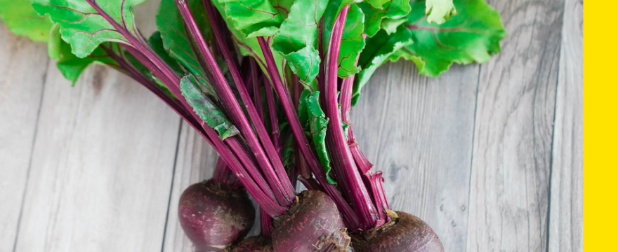 Supplements For Brain Health: Necessary or Not?