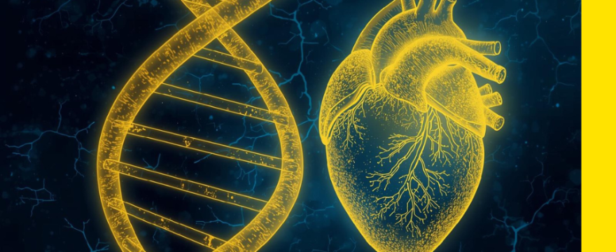 Can Gene Editing Cure High Cholesterol Or Are We Skipping the Root Cause?